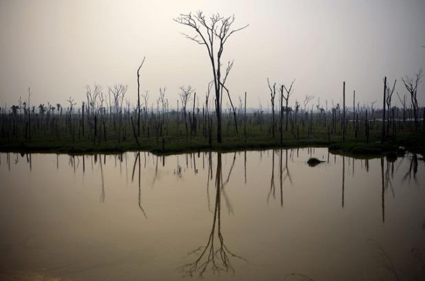 The Amazon rainforest in Brazil is still burning