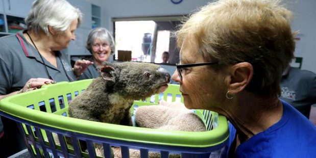 Australia’s fires could change the country forever