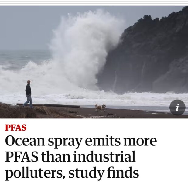 In late capitalism, even the waves give you cancer. We’re fucked. For humanity to survive, capitalism must die.